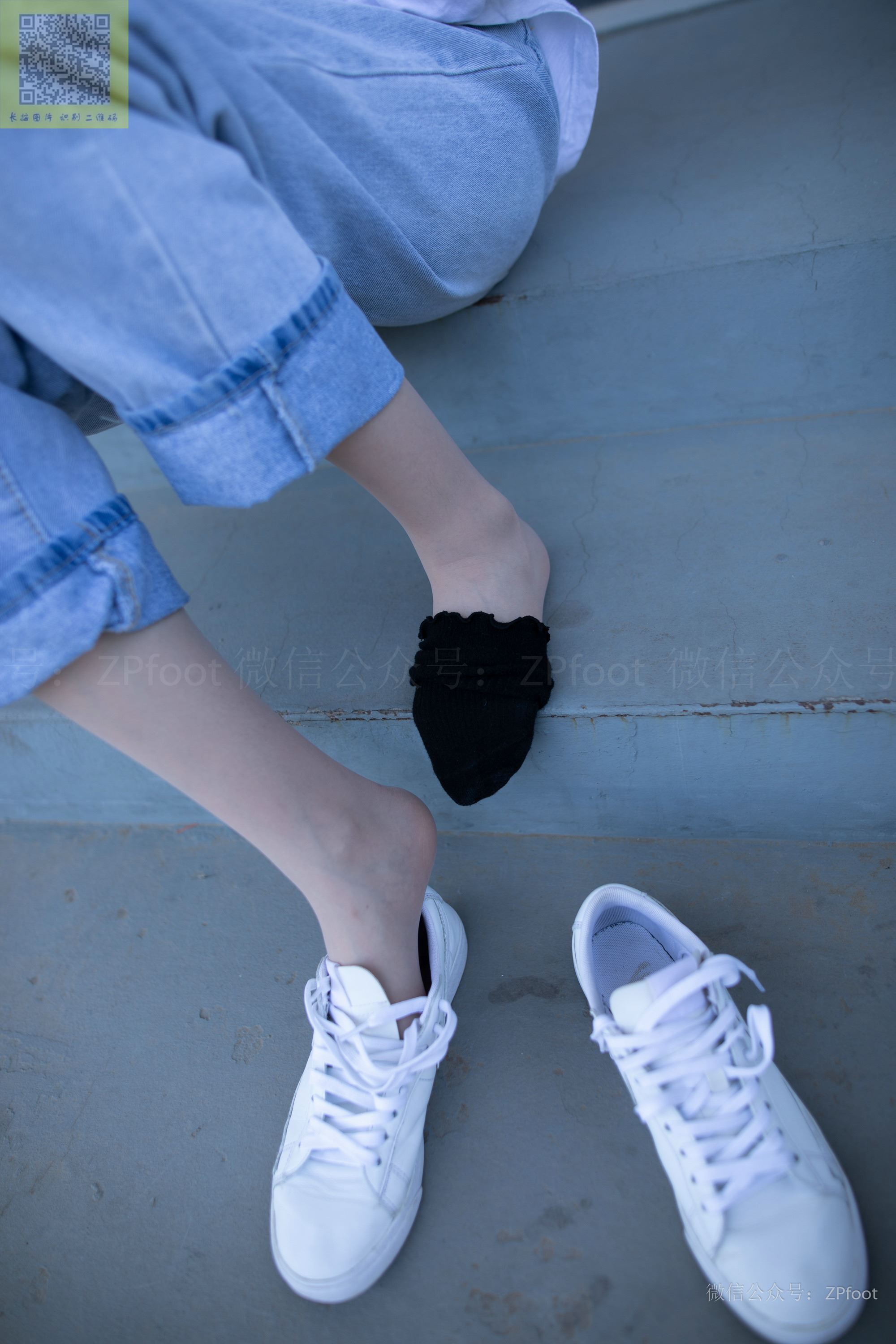 ISS山茶摄影 024 鑫鑫库里丝